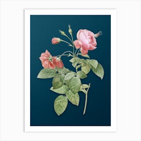 Vintage Pink Boursault Rose Botanical Art on Teal Blue n.0015 Art Print