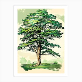 Beech Tree Storybook Illustration 1 Art Print