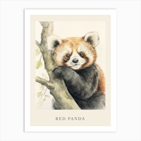 Beatrix Potter Inspired  Animal Watercolour Red Panda 6 Art Print