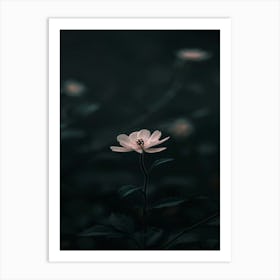 Dark Flower 33 Art Print