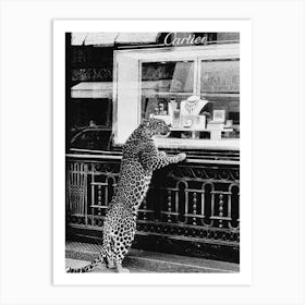 Vintage Photography Cheetah Print Art Print