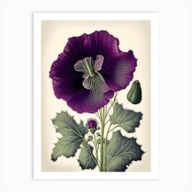Purple Poppy Mallow Wildflower Vintage Botanical 2 Art Print