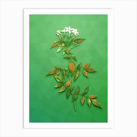 Vintage Jasmin Officinale Flower Botanical Art on Classic Green n.0522 Art Print