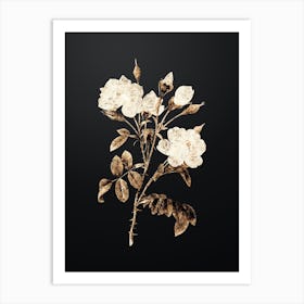 Gold Botanical White Rose on Wrought Iron Black n.4503 Art Print