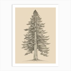 Redwood Tree Minimalistic Drawing 1 Art Print