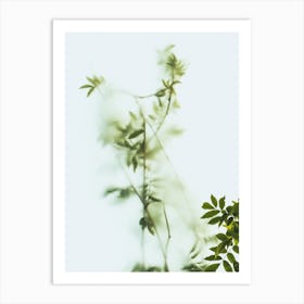 Green Frosted Glass And Leaves Art Print