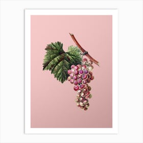 Vintage Grape Vine Botanical on Soft Pink n.0405 Art Print