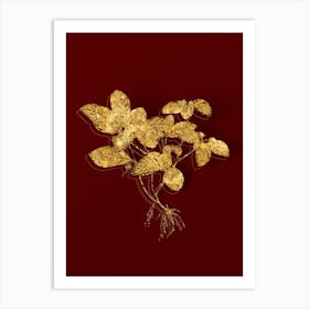 Vintage American Wintergreen Plant Botanical in Gold on Red n.0196 Art Print