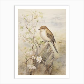 Vintage Bird Drawing Dipper 3 Art Print