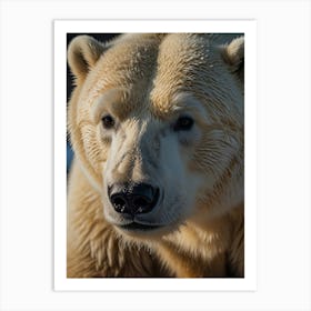 Polar Bear  7 Art Print