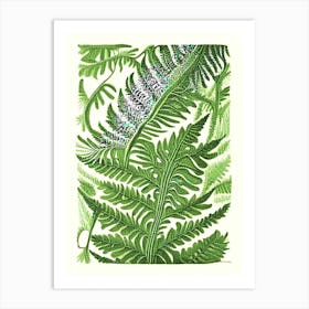 Pteris Fern 1 Vintage Botanical Poster Art Print