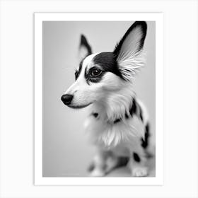 Papillon B&W Pencil Dog Art Print