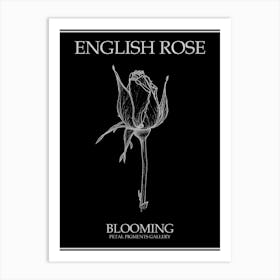 English Rose Blooming Line Drawing 4 Poster Inverted Art Print