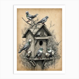 Pigeons On A Birdhouse Art Print