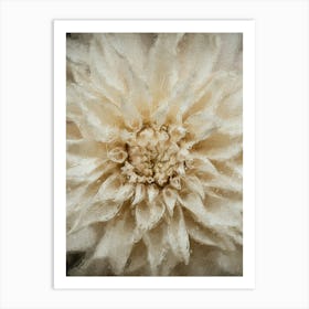 Dahlia Oil Painting Art Print