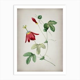 Vintage Red Passion Flower Botanical on Parchment n.0114 Art Print