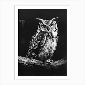 African Scops Owl Charcoal Drawing 1 Art Print