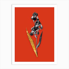 Vintage Dalmatian Iris Black and White Gold Leaf Floral Art on Tomato Red n.0253 Art Print