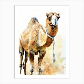 Camel Watercolor Painting Art Print