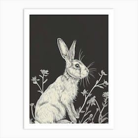 American Fuzzy Lop Rabbit Minimalist Illustration 1 Art Print