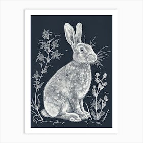 English Silver Rabbit Minimalist 3 Art Print