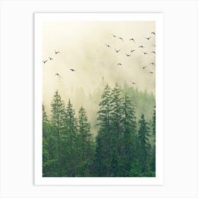Birds In The Forest Art Print