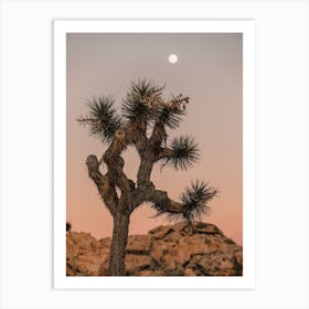 Desert Night Art Print