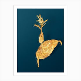 Vintage Indian Shot Botanical in Gold on Teal Blue n.0030 Art Print