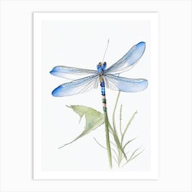 Blue Dasher Dragonfly Pencil Illustration 2 Art Print