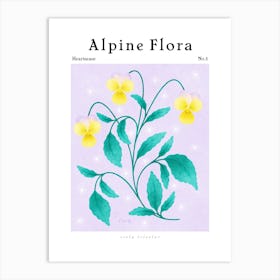 Alpine Flora Heartsease Art Print