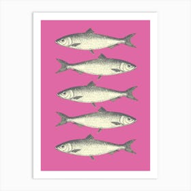 Sardines - Pink Art Print