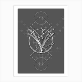 Vintage Boat Orchid Botanical with Line Motif and Dot Pattern in Ghost Gray n.0378 Art Print