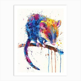 Opossum Colourful Watercolour 1 Art Print