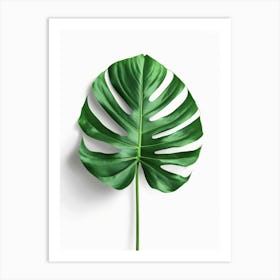 Monstera Leaf 10 Art Print