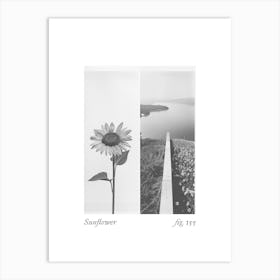 Sunflower Botanical Collage 2 Art Print