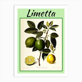 Lime Art Print