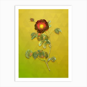 Vintage Rose Botanical Art on Empire Yellow n.0369 Art Print