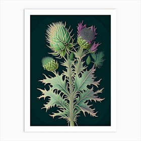 Milk Thistle Herb Vintage Botanical Art Print