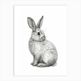 Silver Marten Rabbit Nursery Illustration 3 Art Print