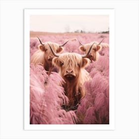 Three Curious Highland Cows In Field Of Pink Grass Art Print