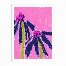 Echinacea Art Print