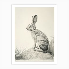 Harlequin Rabbit Drawing 1 Art Print