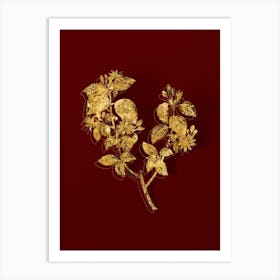 Vintage Crossberry Botanical in Gold on Red n.0147 Art Print