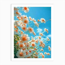 Daisies 6 Art Print