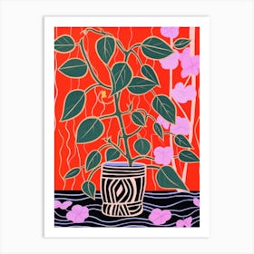 Pink And Red Plant Illustration Hoya 1 Art Print