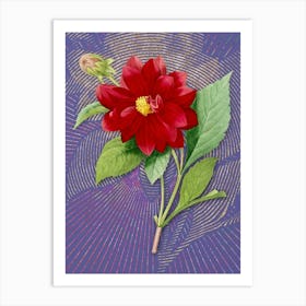 Vintage Double Dahlias Botanical Illustration on Veri Peri n.0575 Art Print