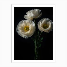 White Poppies Art Print