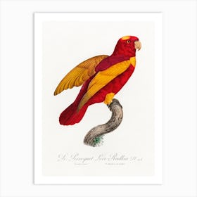 Red & Gold Loryfrom Natural History Of Parrots, Francois Levaillant Art Print