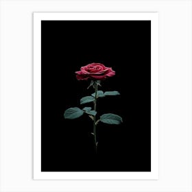 Rose On A Black Background 10 Art Print