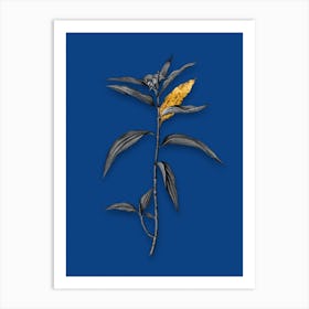 Vintage Dayflower Black and White Gold Leaf Floral Art on Midnight Blue n.0111 Art Print